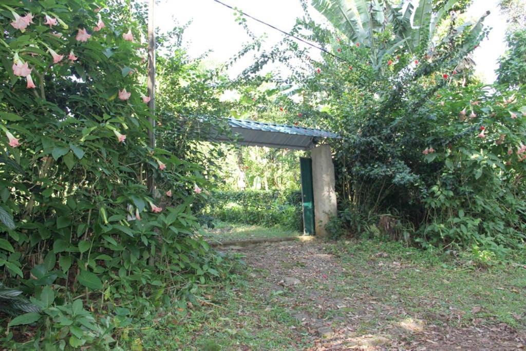 Bema Farm Villa Sao Jose Eksteriør bilde