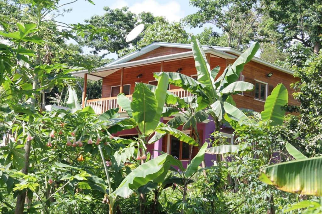 Bema Farm Villa Sao Jose Eksteriør bilde